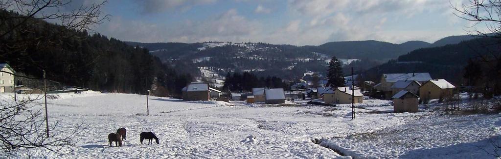 Villa Equi'Val Le Tholy Esterno foto